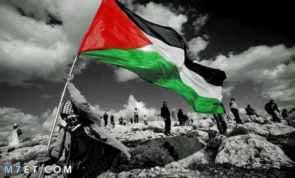 حرب فلسطين في العقد الأخير