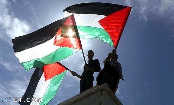  صور علم فلسطين