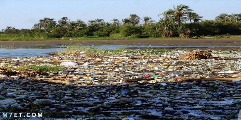 دور المصانع الكبير في تلوث نهر النيل
