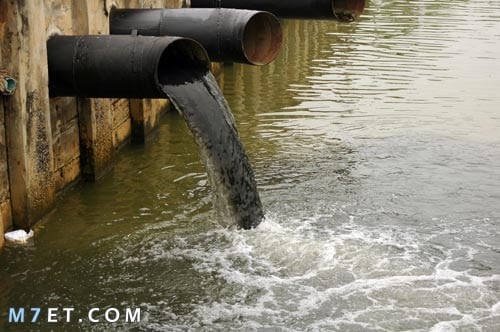 تلوث نهر النيل بسبب مياه الصرف الصحي