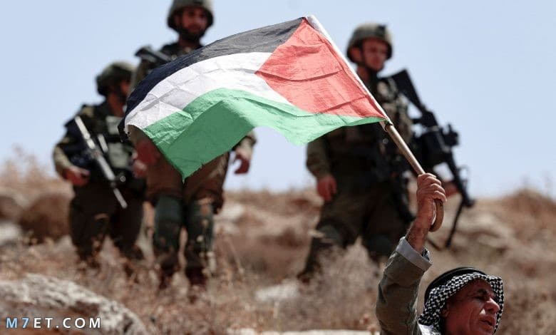 حرب فلسطين | التسلسل التاريخي الفلسطيني منذ الحرب العالمية الأولى