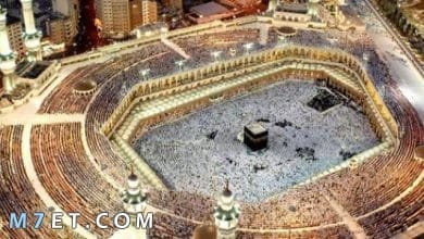 Photo of ما هو اكبر مسجد في العالم