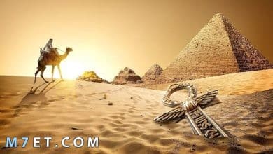 Photo of موضوع تعبير عن مصر بكافة العناصر الأساسية والأفكار المتنوعة