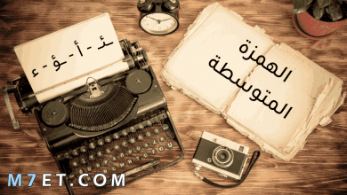 Photo of قطع املائية للصف الاول الابتدائي وأهم أهداف الإملاء