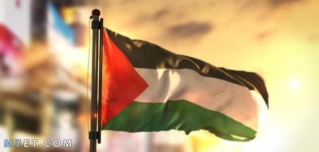 دولة فلسطين | أهم المعلومات العامة حول دولة فلسطين وأبرز الأحداث التاريخية عنها