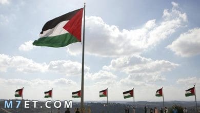 Photo of علم فلسطين