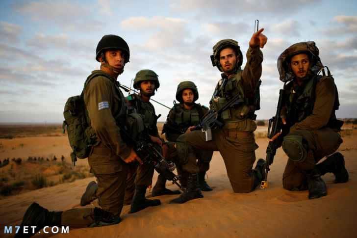 ماذا سيحدث إذا واجه الجيش المصري الجيش الصهيوني