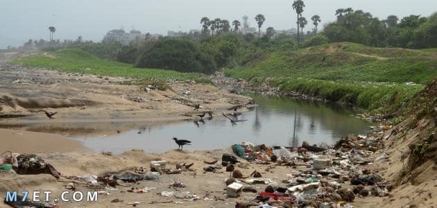 خاتمة تعبير عن تلوث نهر النيل