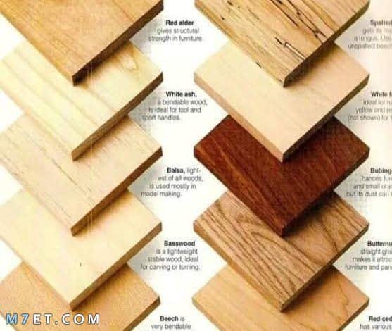 انواع الخشب الزان