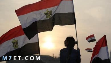 Photo of مقدمة عن حب مصر وما هي أهمية حب الوطن