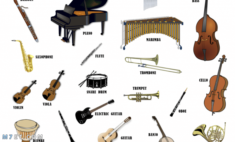 أسماء الآلات الموسيقية | ما هي أنواع الآلات الموسيقية المتنوعة