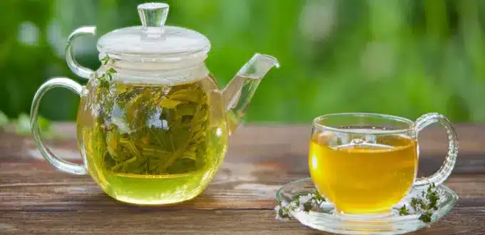 فوائد الشاي الأخضر للقولون