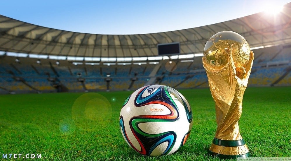 سعر باقة كأس العالم في مصر