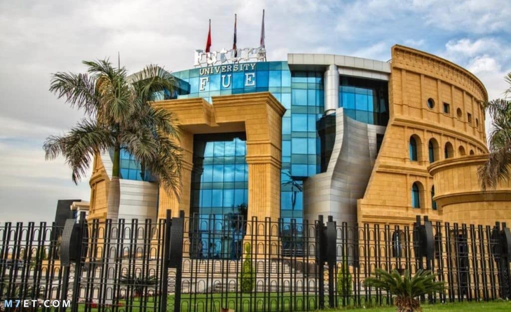  كلية إدارة الأعمال بمصر