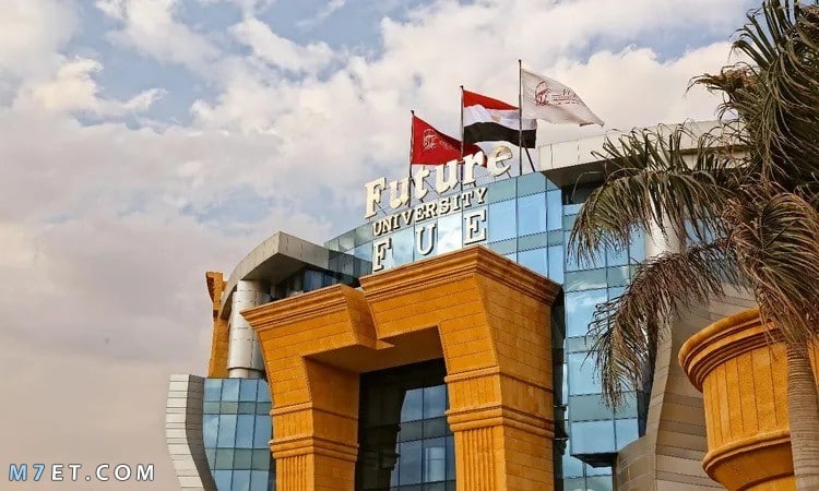  كلية إدارة الأعمال بمصر