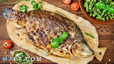 Photo of أفضل أنواع السمك في مصر