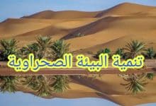 Photo of بحث عن تنمية البيئة الصحراوية فى مصر