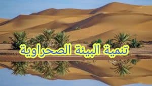 بحث عن تنمية البيئة الصحراوية فى مصر