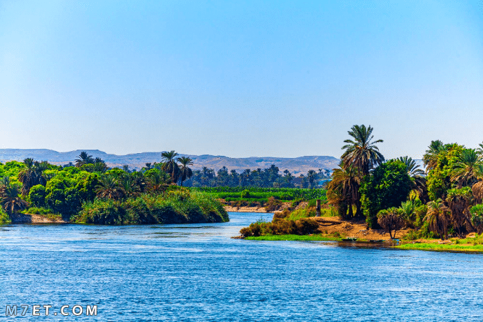 تعبير عن نهر النيل بالعناصر