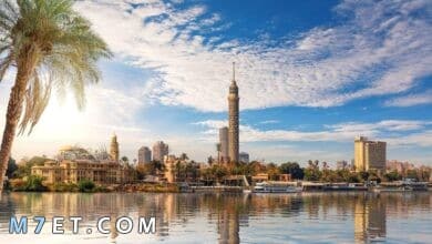 Photo of اسعار دخول برج القاهرة وأبرز الأنشطة في البرج 
