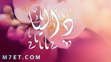 Photo of معنى اسم داليا وما معنى الإسم في القرأن الكريم