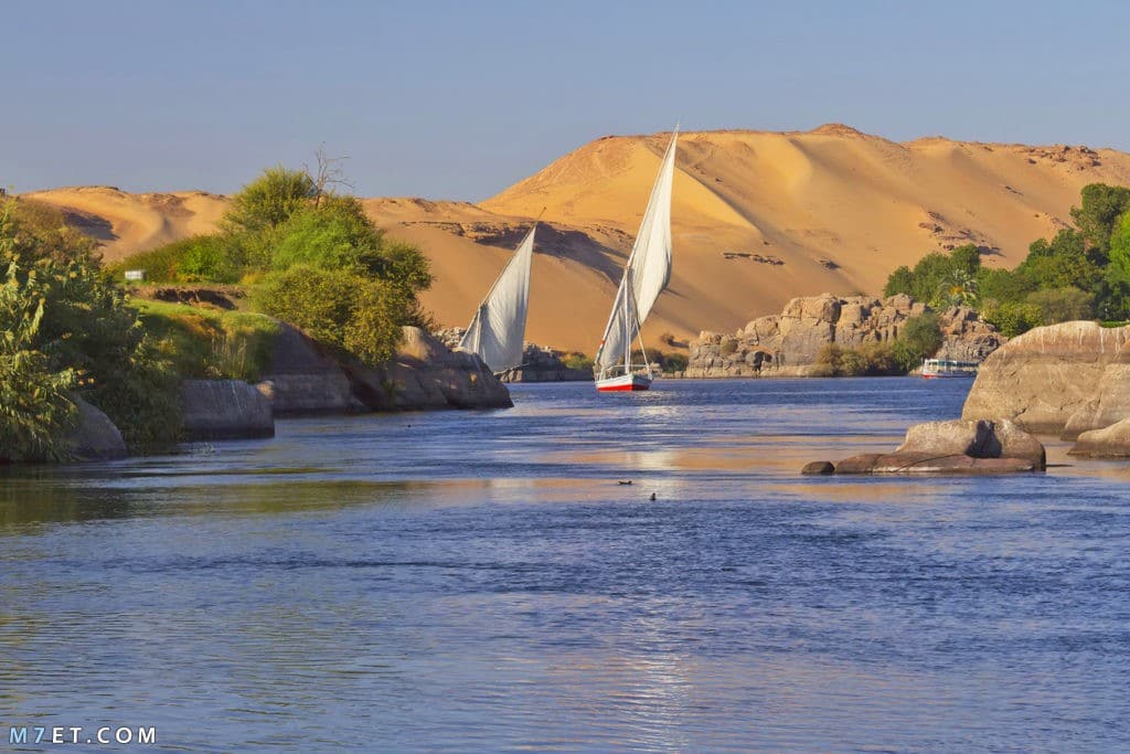 تعبير عن نهر النيل بالعناصر