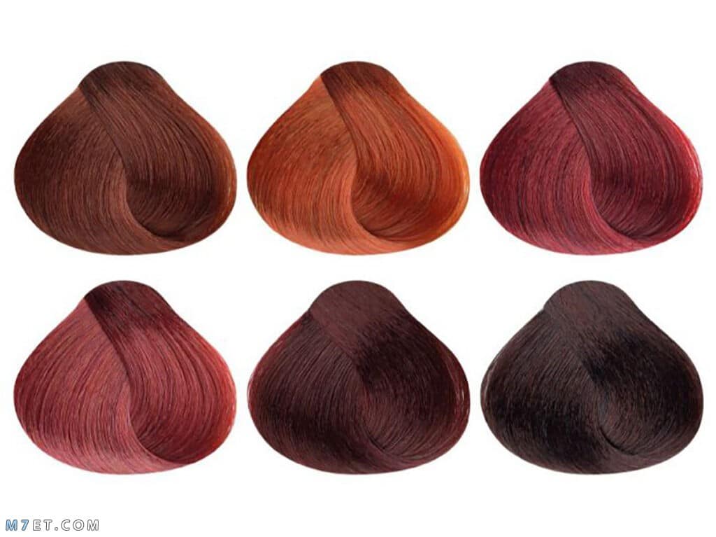 درجات ألوان الشعر