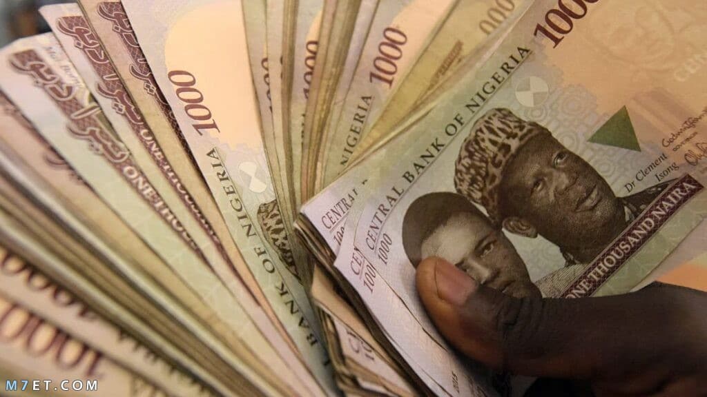  ما هي العملة التي تستخدم في نيجيريا