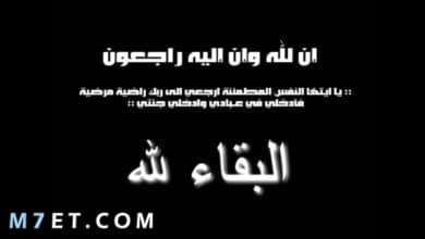 Photo of كلام عن خيانة الحبيب