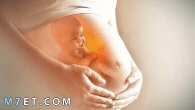 Photo of الحمل في الشهر الخامس للبكر وطرق التغلب على صعوبات الحمل