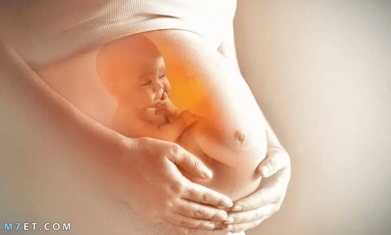 الحمل في الشهر الخامس للبكر