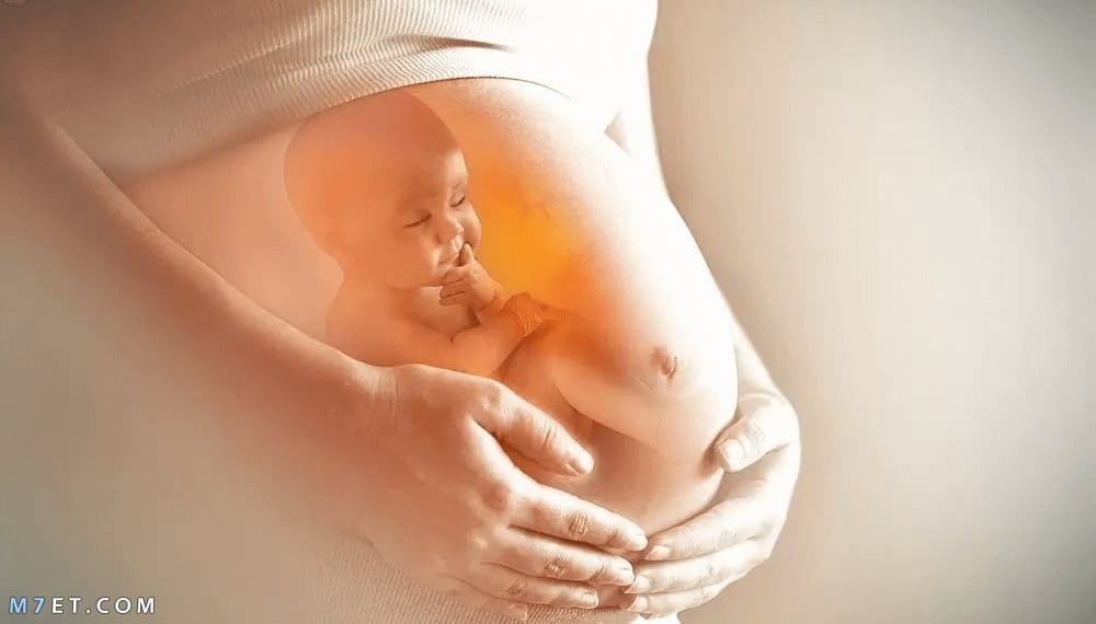 الحمل في الشهر الخامس للبكر