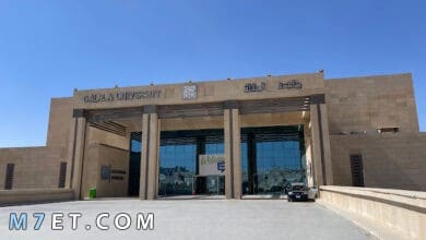 Photo of مصاريف جامعة الجلالة الأهلية