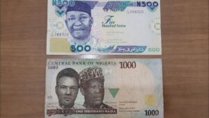 ما هي العملة التي تستخدم في نيجيريا