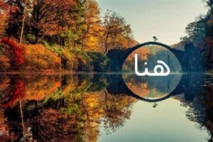 معنى اسم هنا
