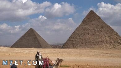 Photo of أهمية السياحة فى مصر موضوع تعبير واهم المناطق الاثرية