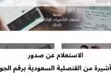 Photo of الاستعلام عن صدور تأشيرة من القنصلية السعودية برقم الجواز