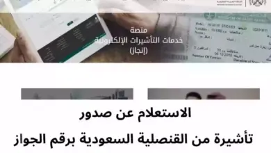 Photo of الاستعلام عن صدور تأشيرة من القنصلية السعودية برقم الجواز