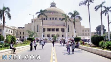 Photo of رسوم الجامعات الحكومية في مصر