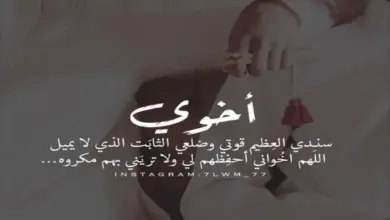 Photo of شعر عن الاخ | ابيات شعر عن الأخ السند