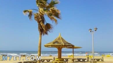Photo of شواطئ خاصة في راس البر