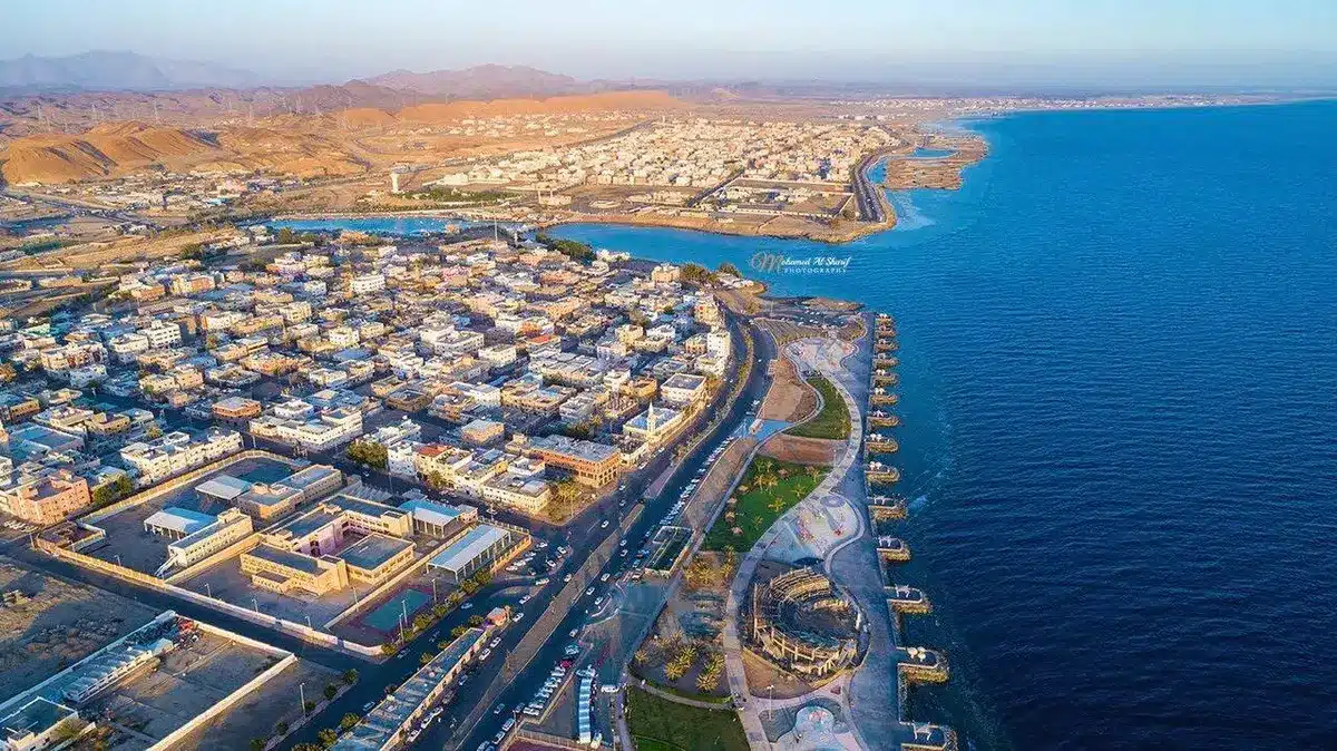 دولة بحرف ض