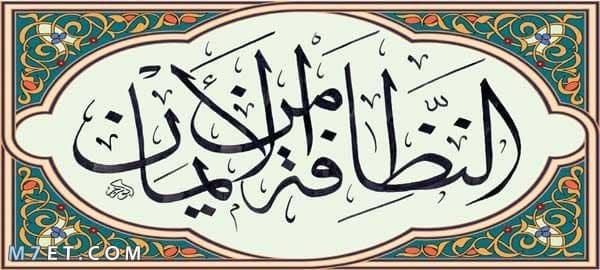 ايات عن النظافة