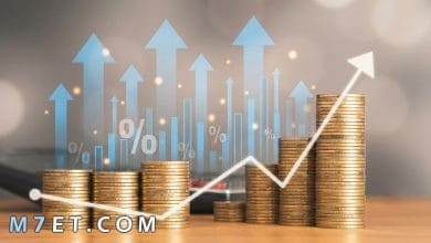 أنواع الصكوك الإسلامية: شرح شامل لفهم معنى الصكوك صورة رقم 1 Photo of أنواع الصكوك الإسلامية: شرح شامل لفهم معنى الصكوك